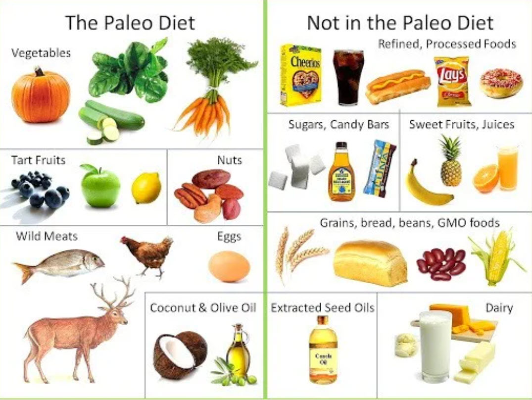 5 Tips for the Paleo Autoimmune Diet